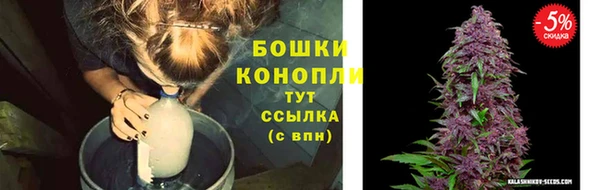 героин Алзамай