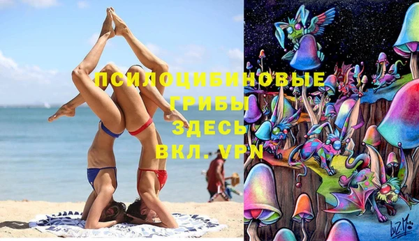 спиды Алексин