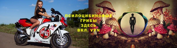 спиды Алексин